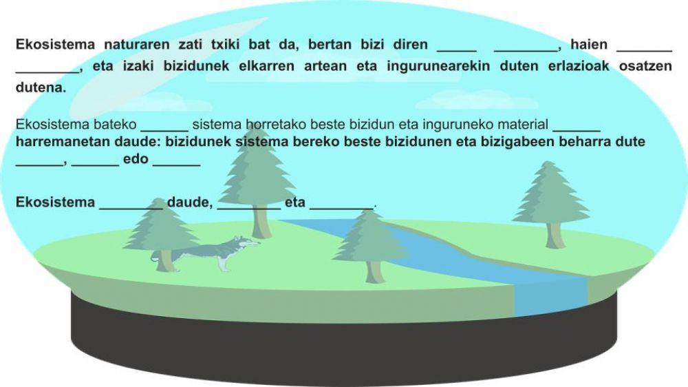 Zer dira Ekosistemak?