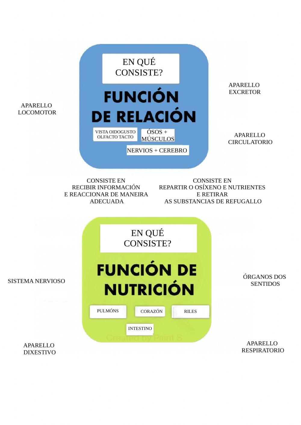Función de nutrición e relación