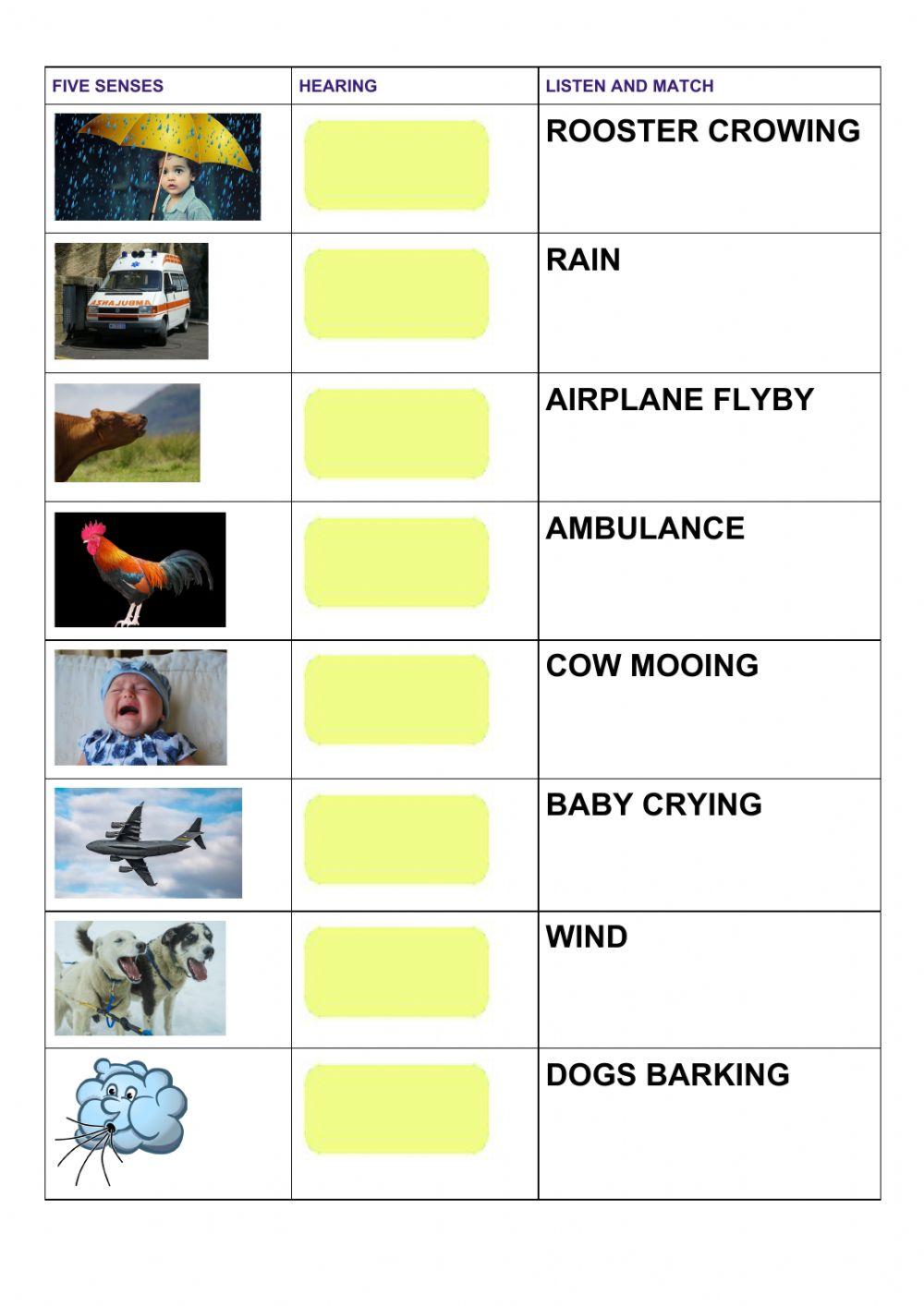 Hearing - five senses