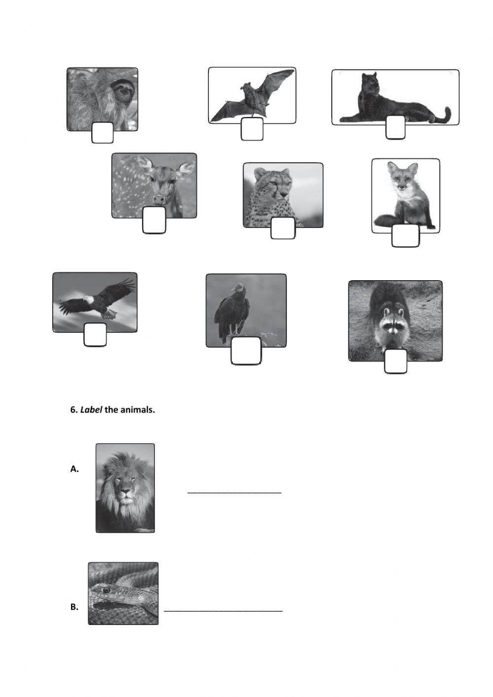 Recuperação Contínua - 3º Trimestre 5º ano