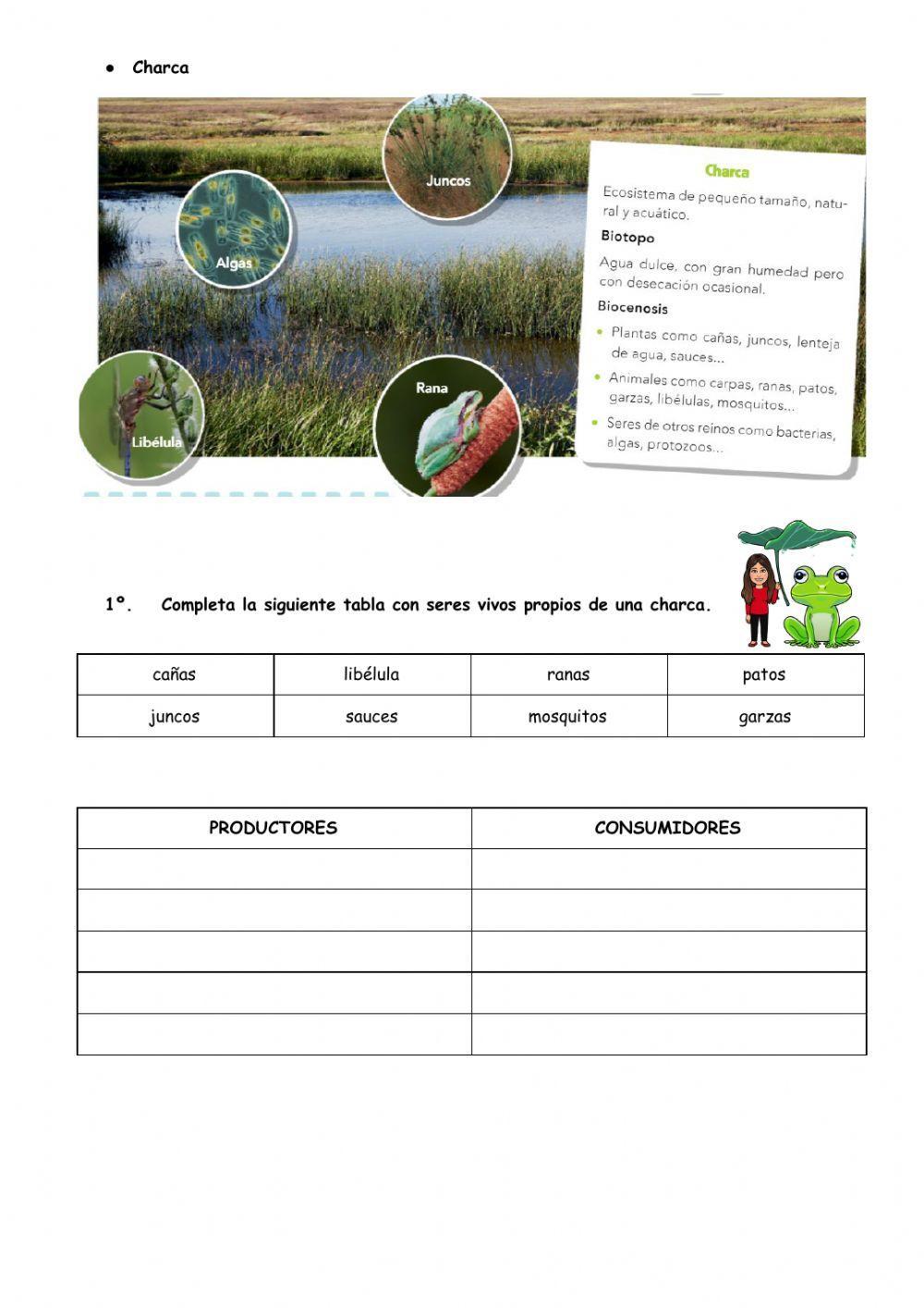 Tipos de ecosistemas