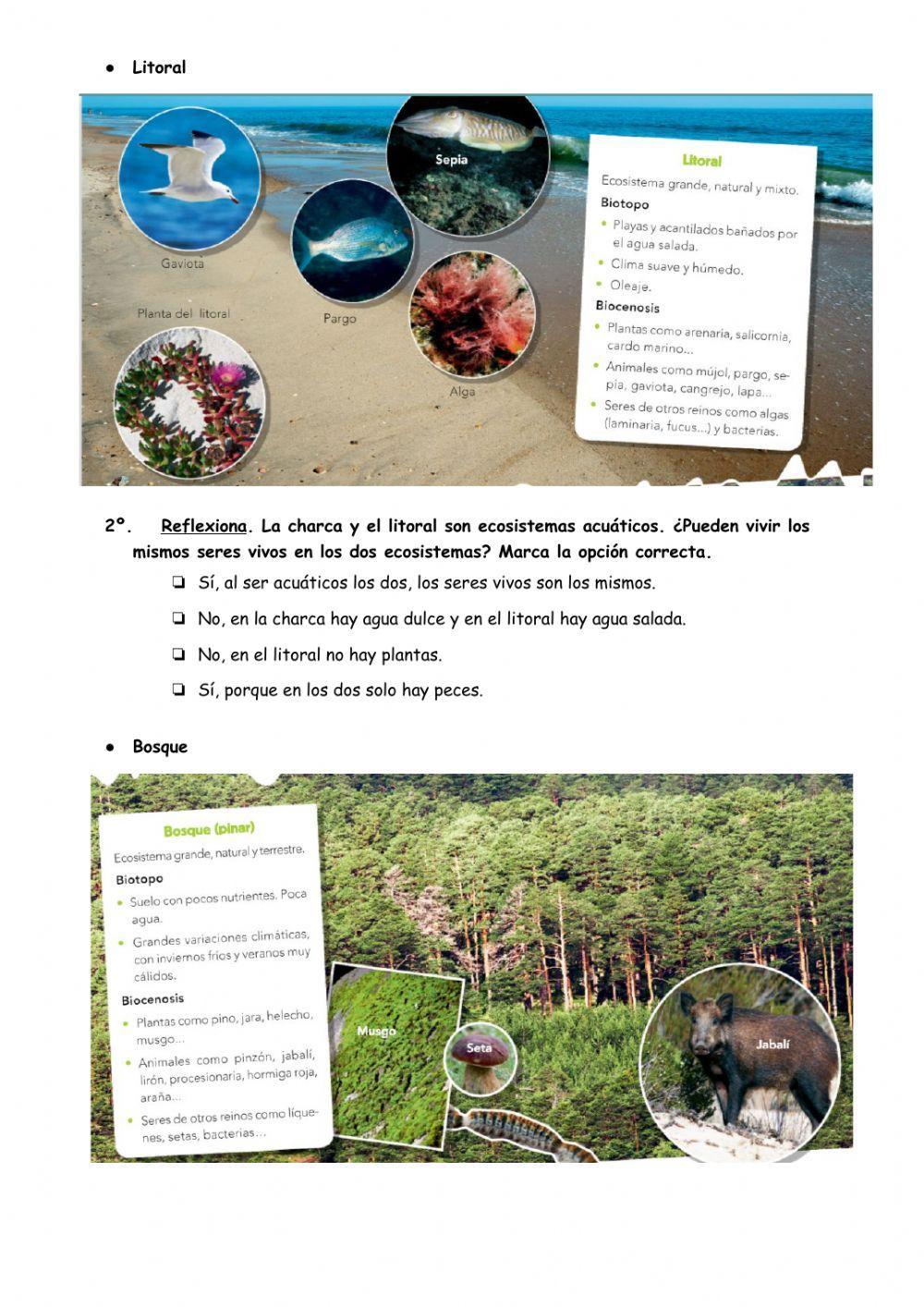 Tipos de ecosistemas