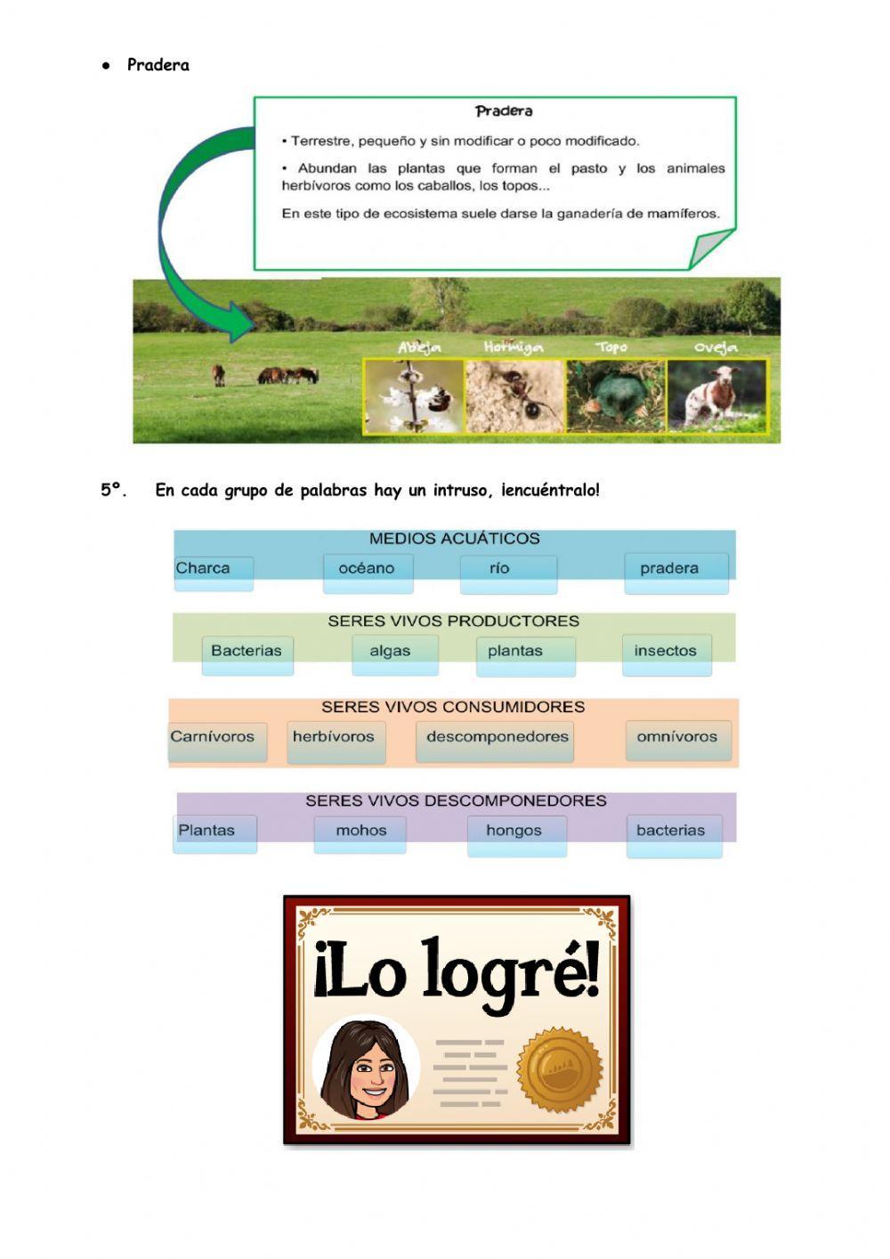 Tipos de ecosistemas