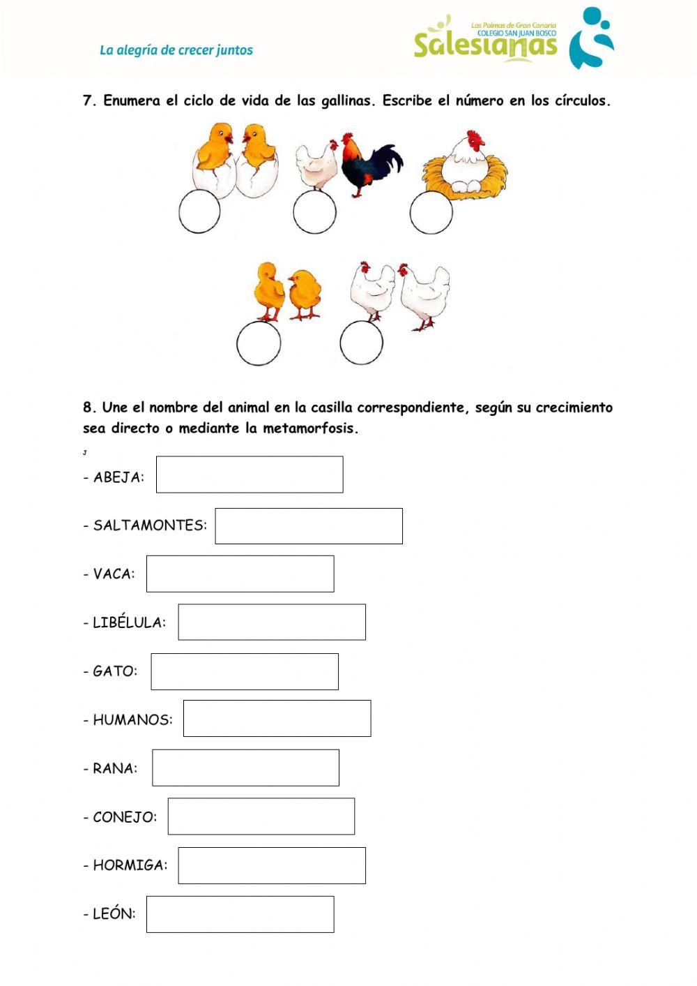 Desarrollo y ciclo de la vida