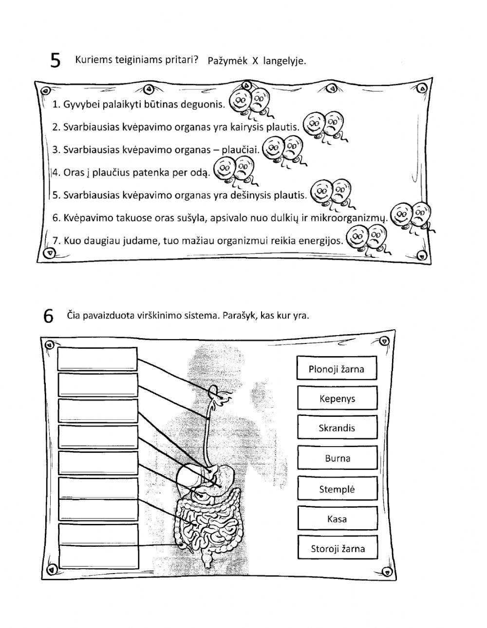 Pasaulio pažinimo testas Nr. 3