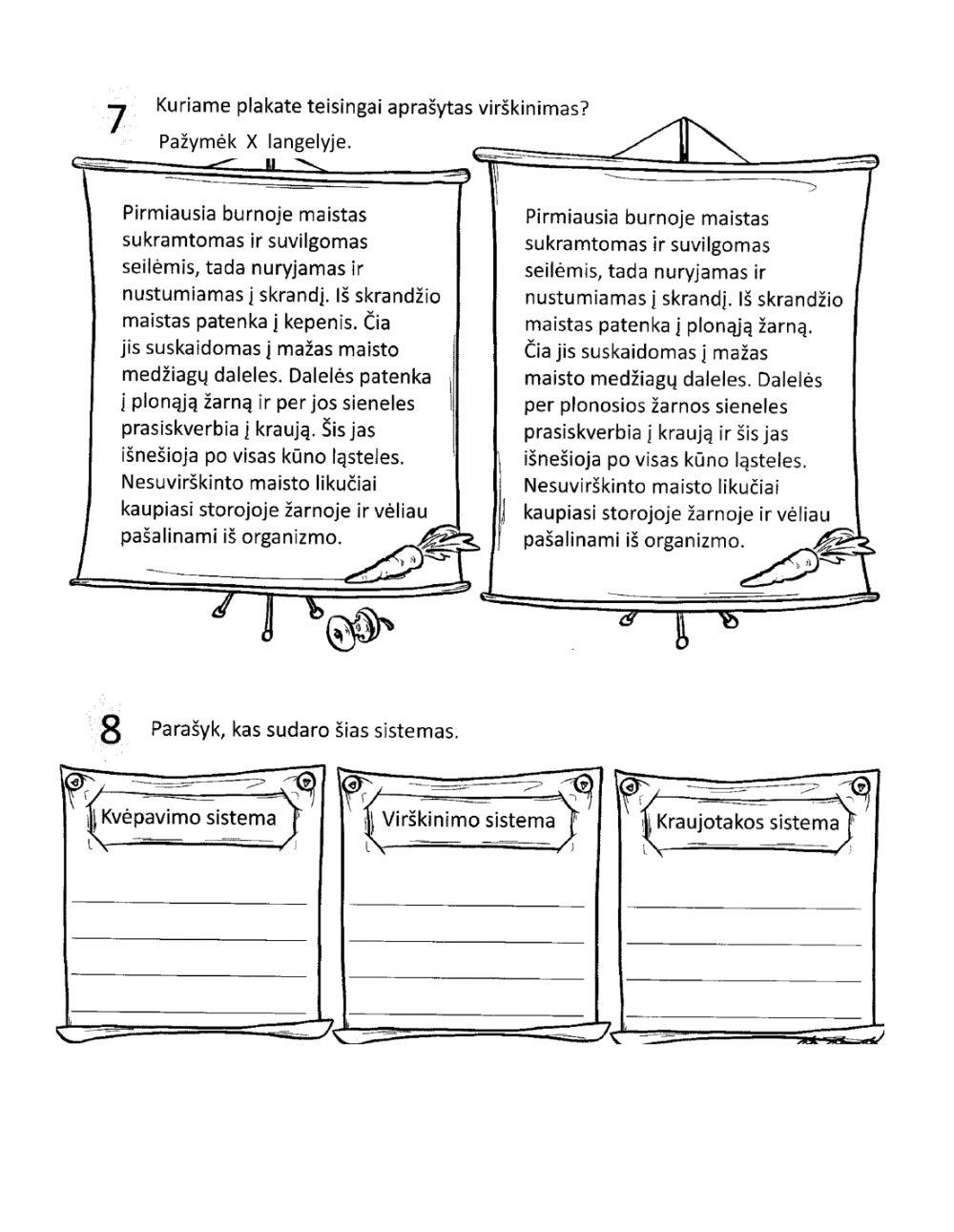 Pasaulio pažinimo testas Nr. 3