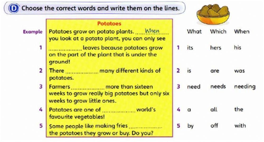 Choose the correct words and write them on the lines
