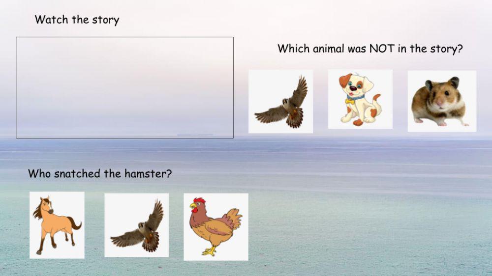 Letter Hh A Hamster and a Hawk worksheet Live Worksheets