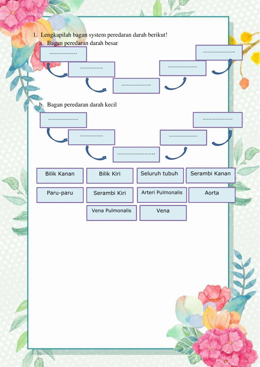 Organ peredaran darah