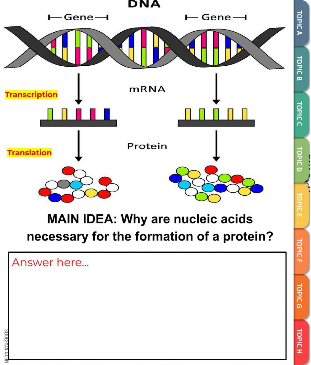 Transcription Practice