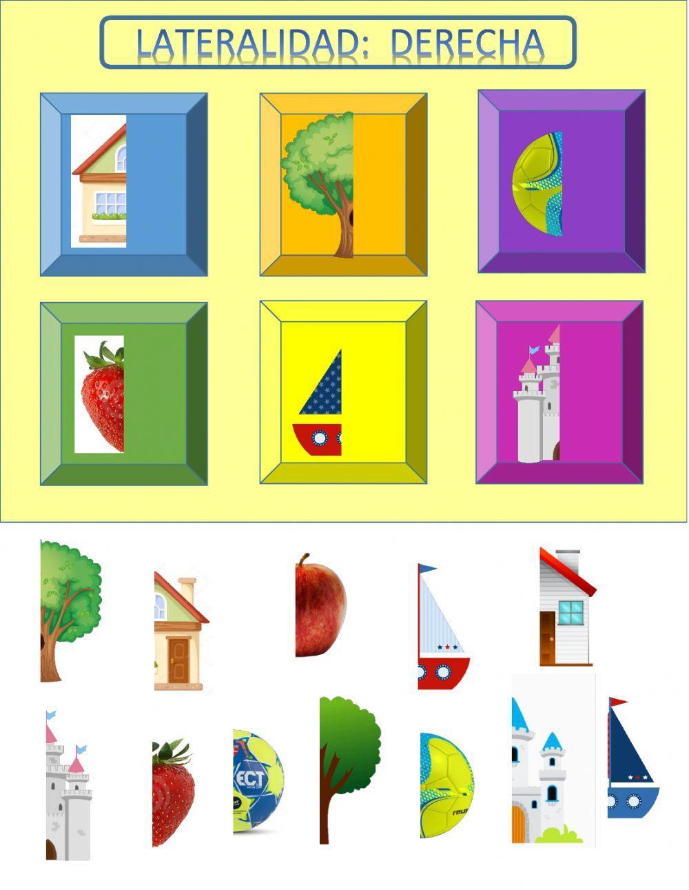 Lateralidad: derecha