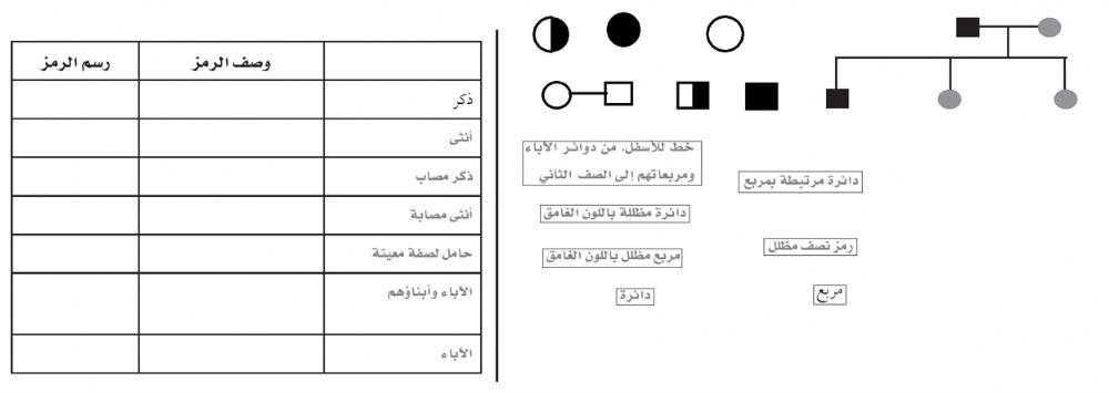مخطط السلالة