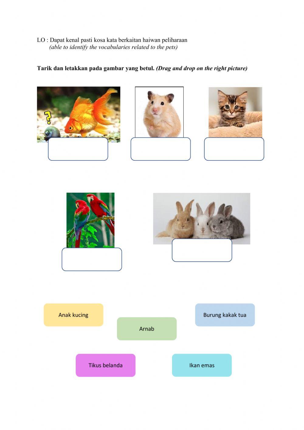 Kosa Kata (Haiwan Peliharaan)