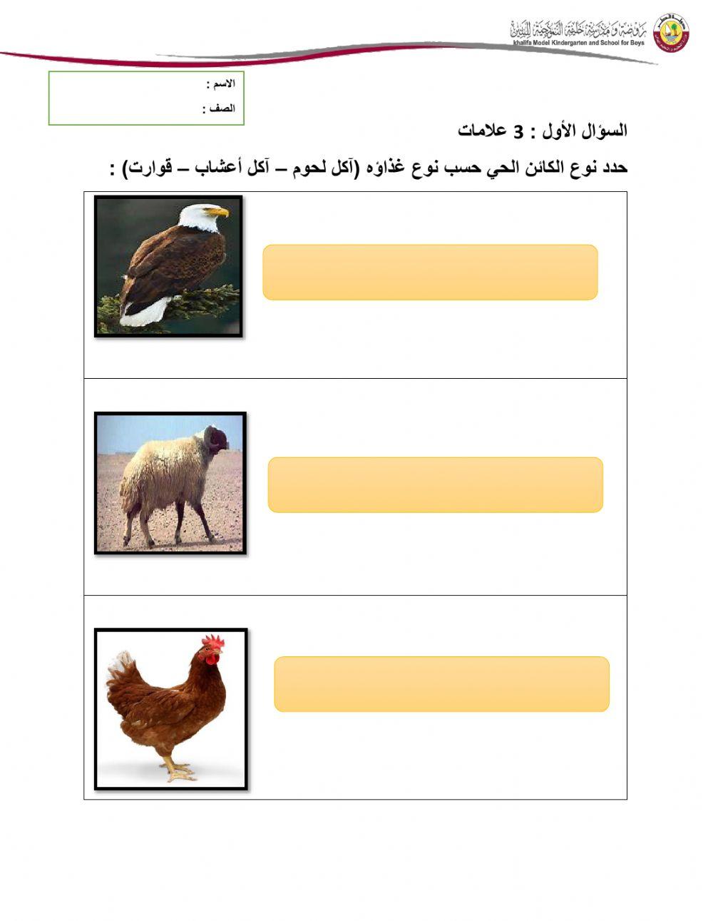 الواجب الاول