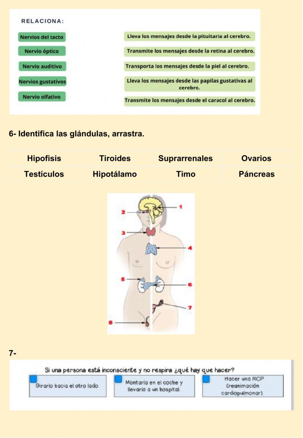 Integración 2020 CS NATURALES