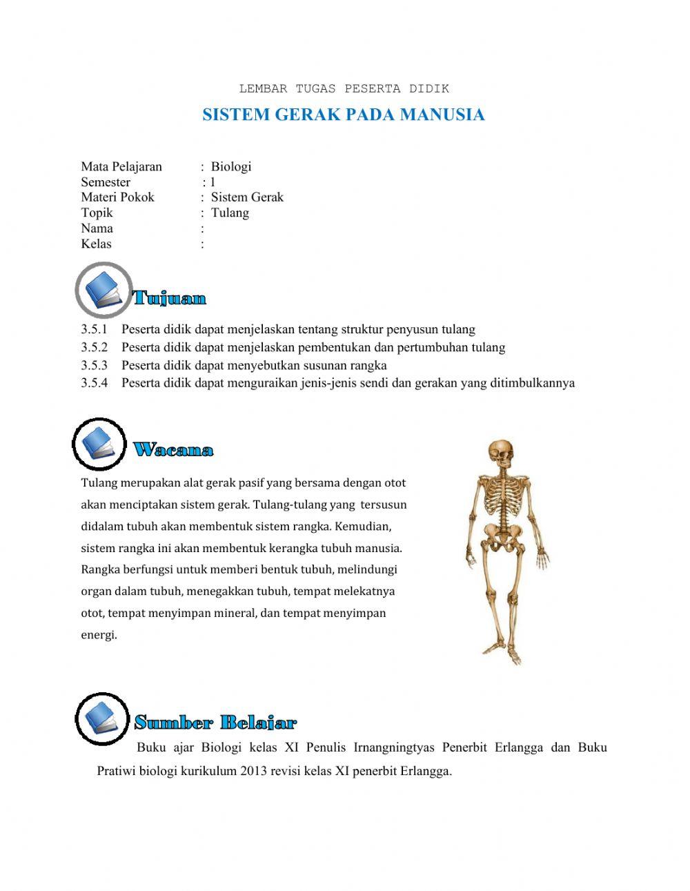 Sistem gerak (tulang-pertemuan 1) Kelas XI MIA 1