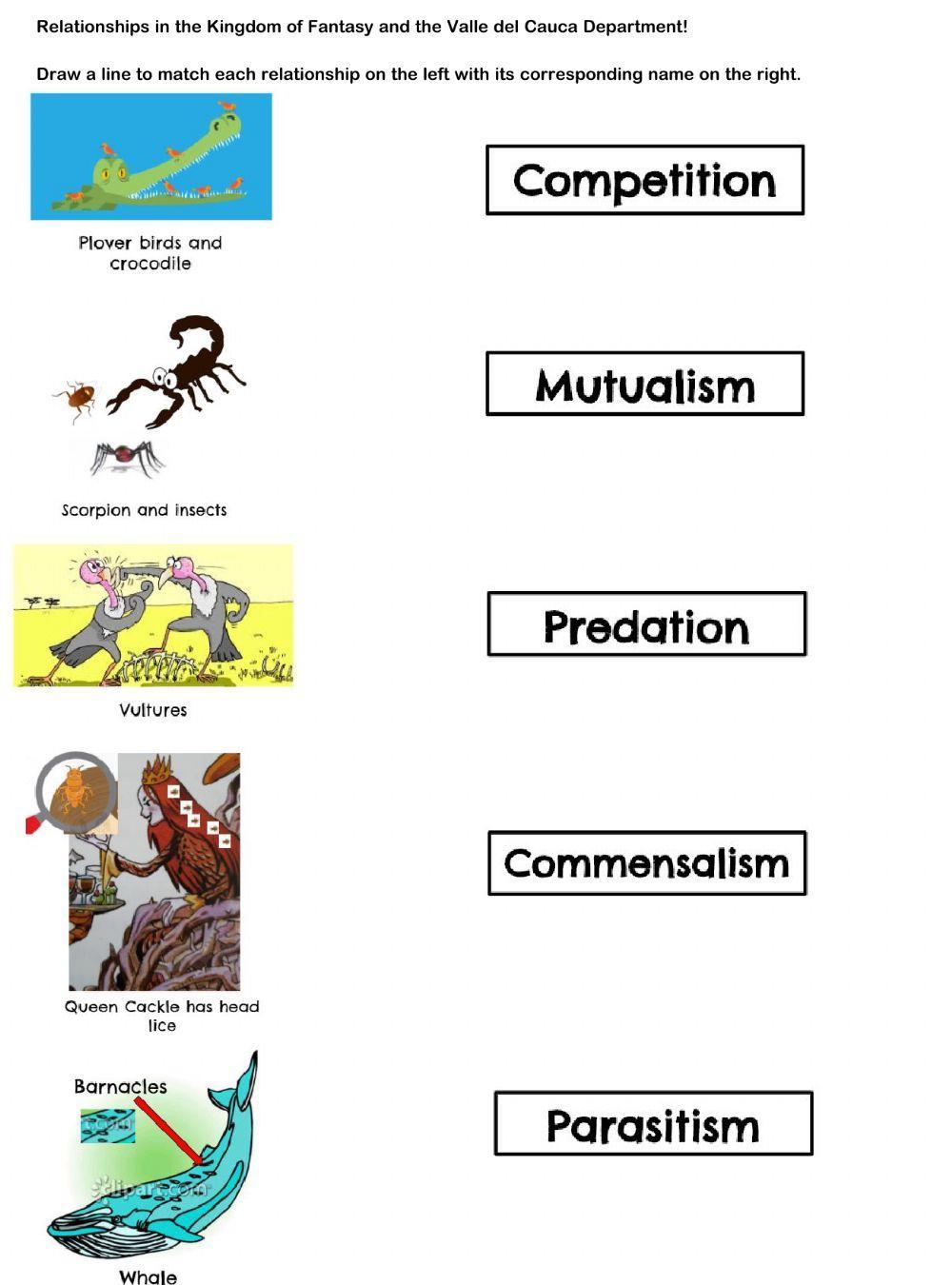 Symbiotic Relationships in the Kingdom of Fantasy and Valle del Cauca Department