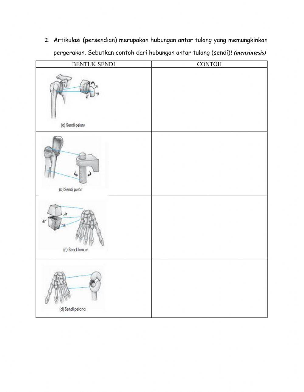 Sistem gerak (tulang-peretemuan 1) kelas xi mia 3