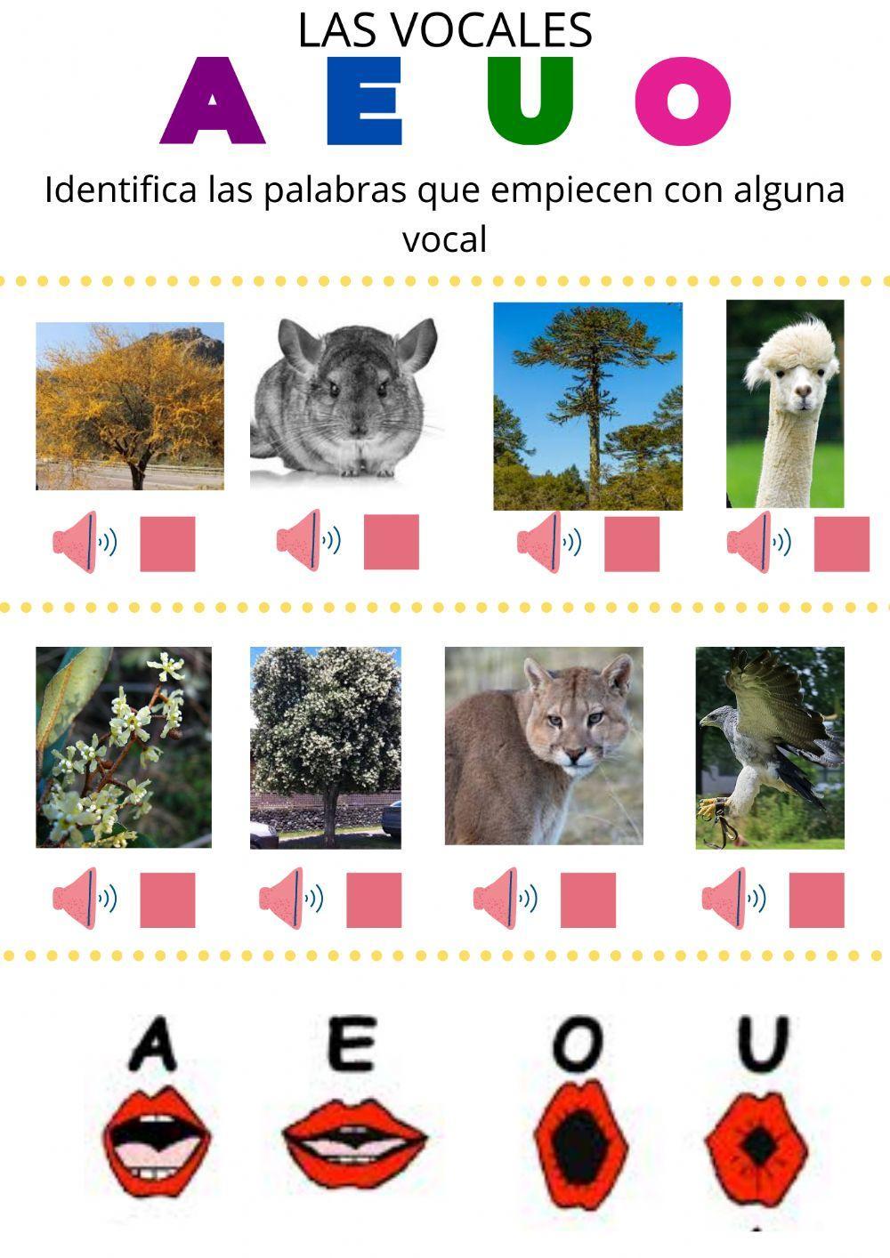 Palabra que inician con vocal