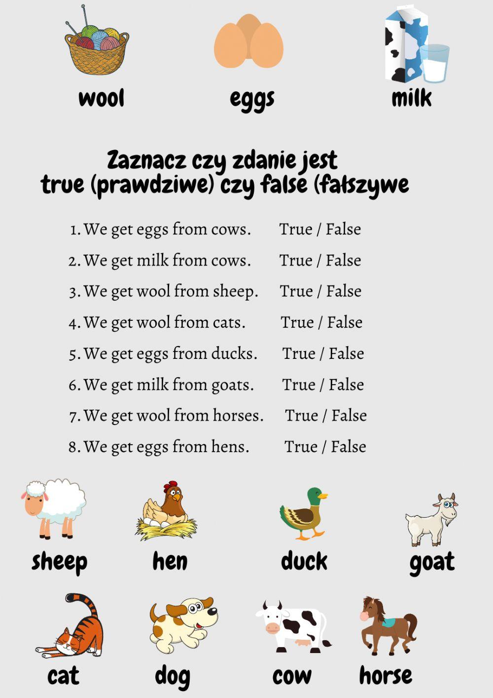 Bugs Team 2 - unit 2 what do we get from animals