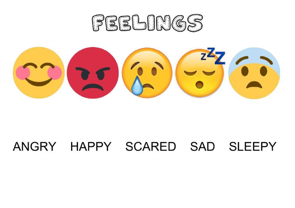 Feelings
