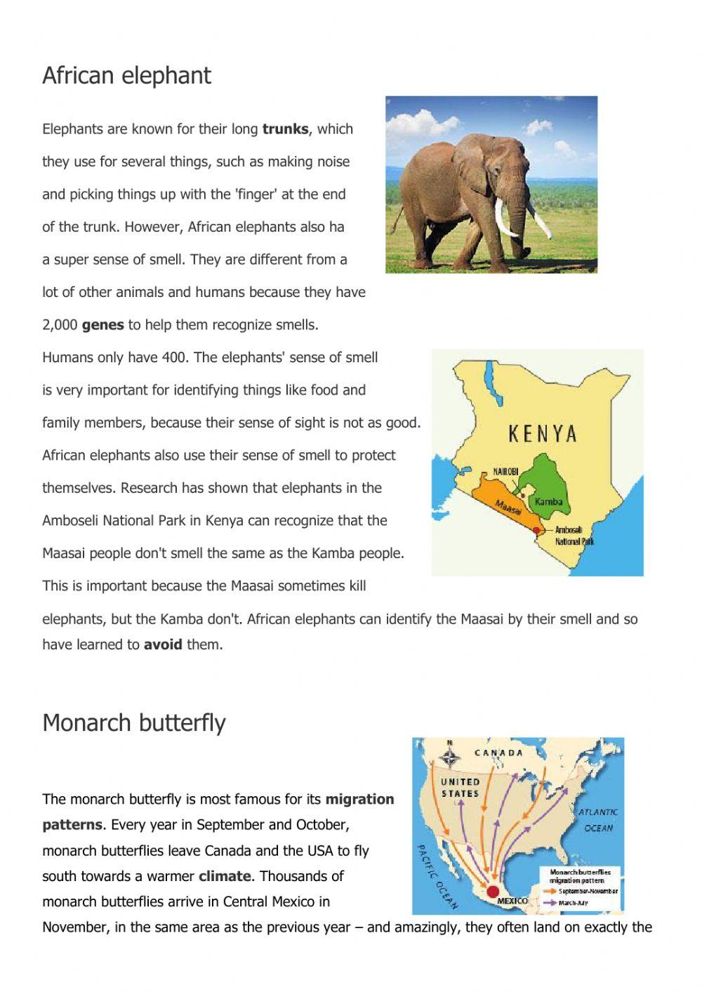 Super Senses reading Comprehension