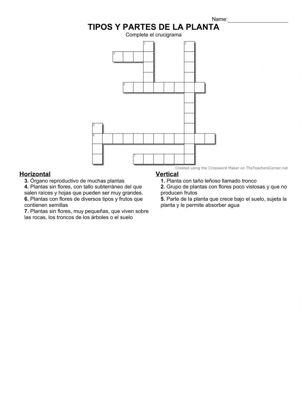 Tipos y partes de las plantas