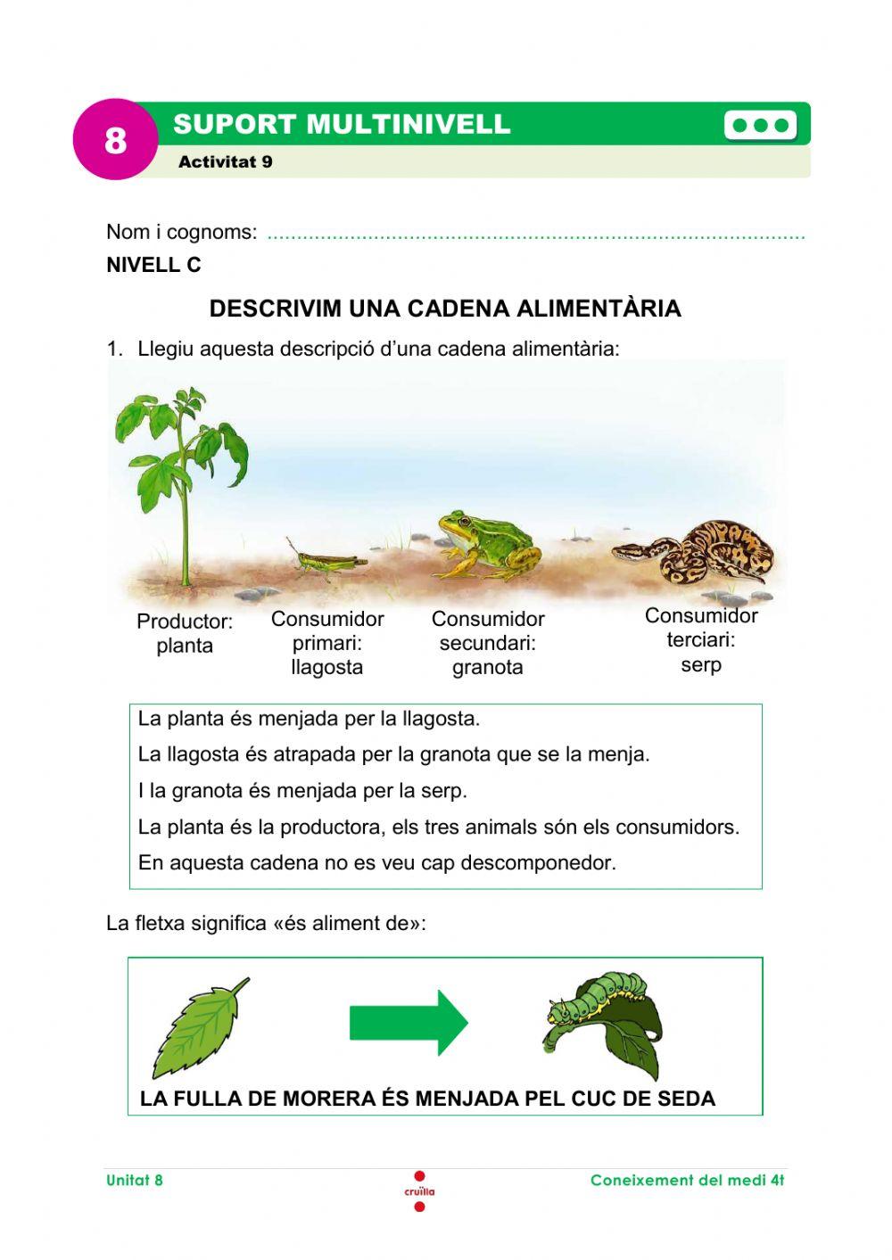 La cadena alimentària