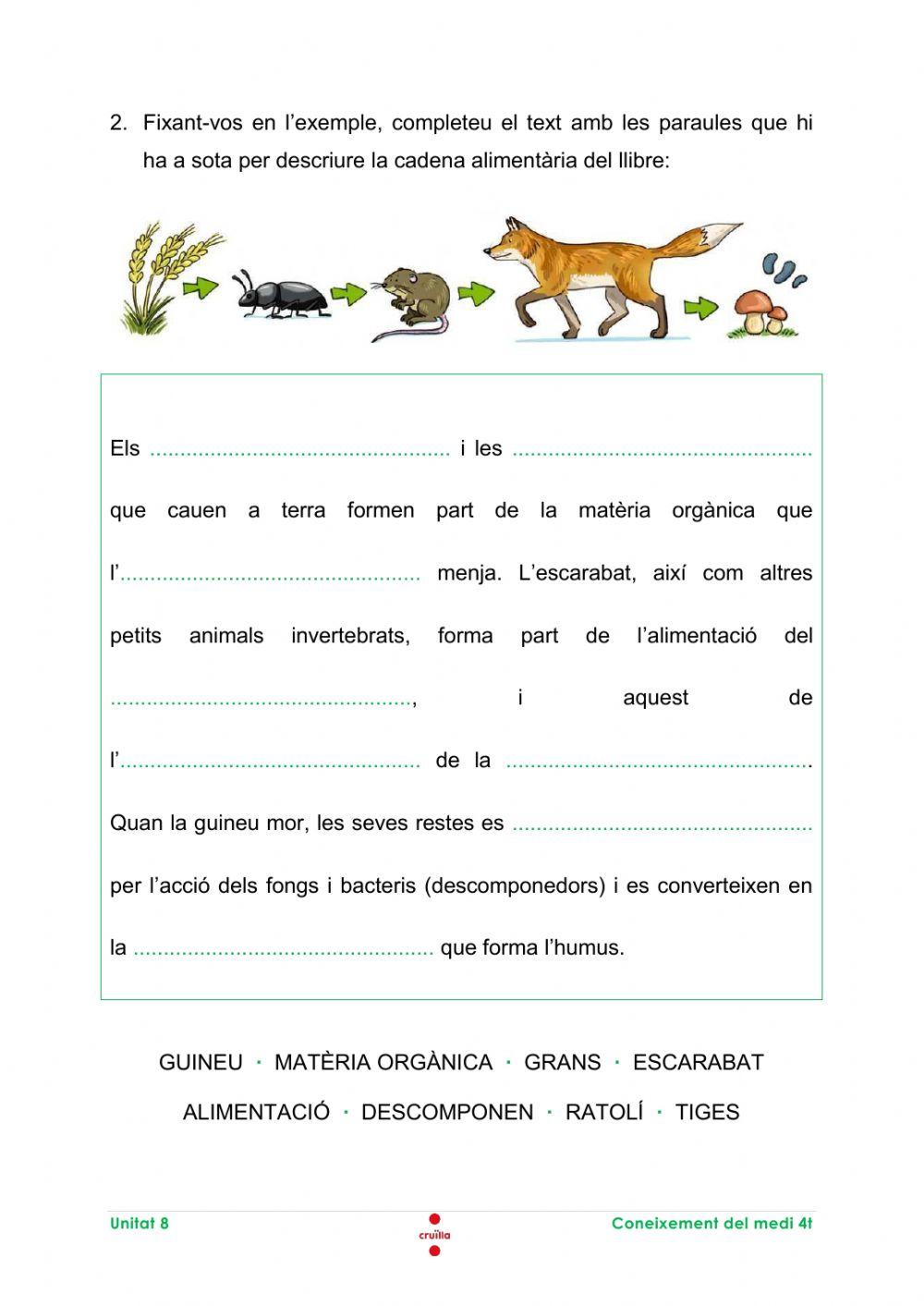 La cadena alimentària