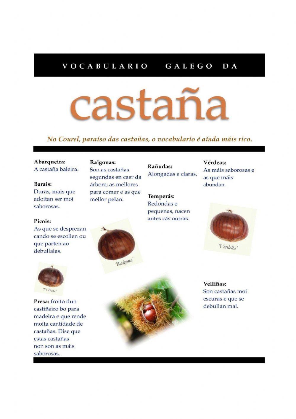 Reminiscencias castañas