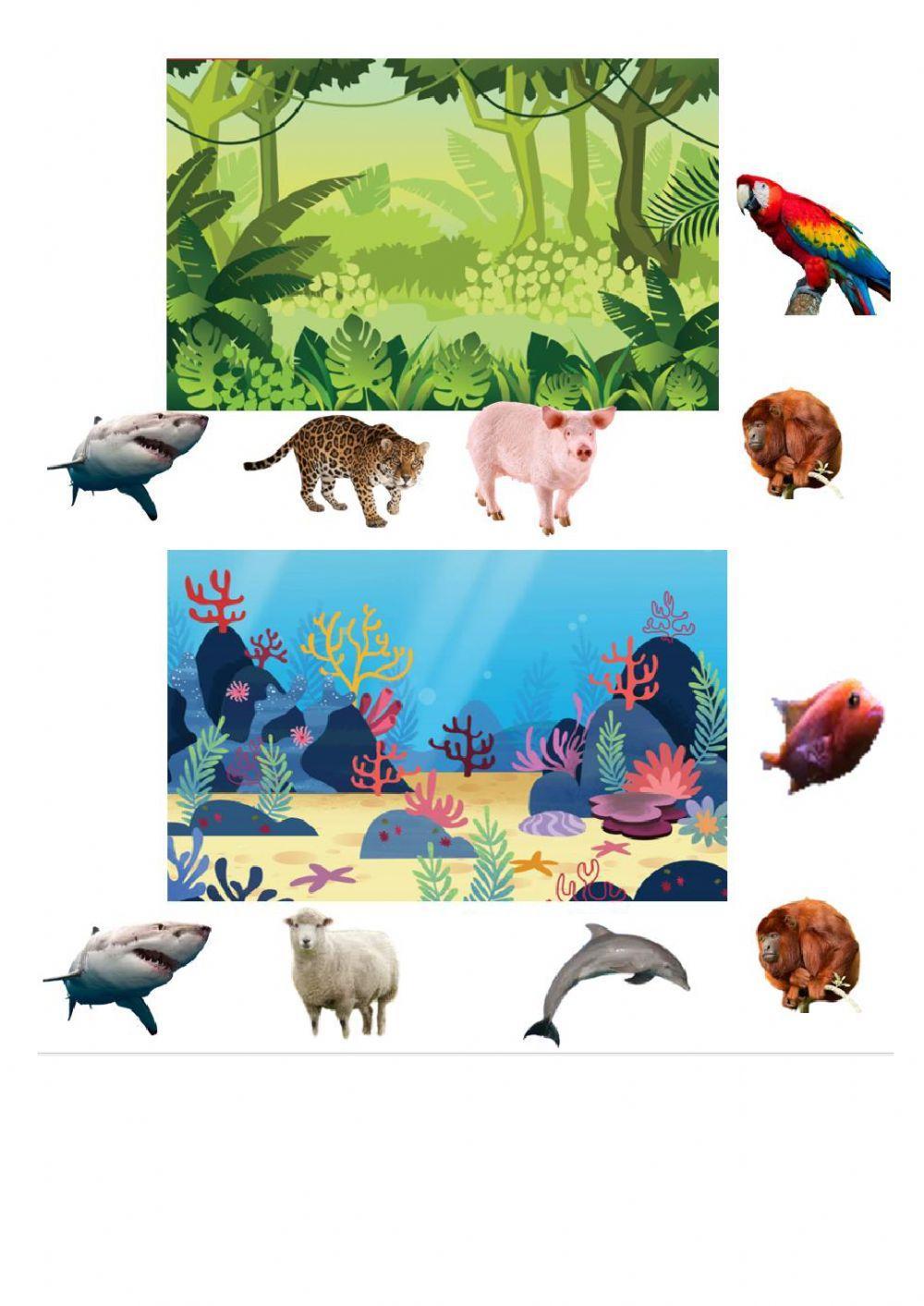 Animals and Habitats