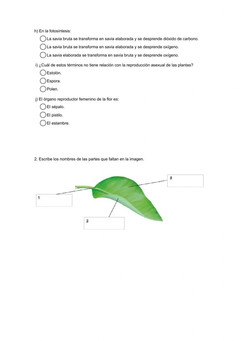Naturales 5º-Unidad 1 (2ª parte)