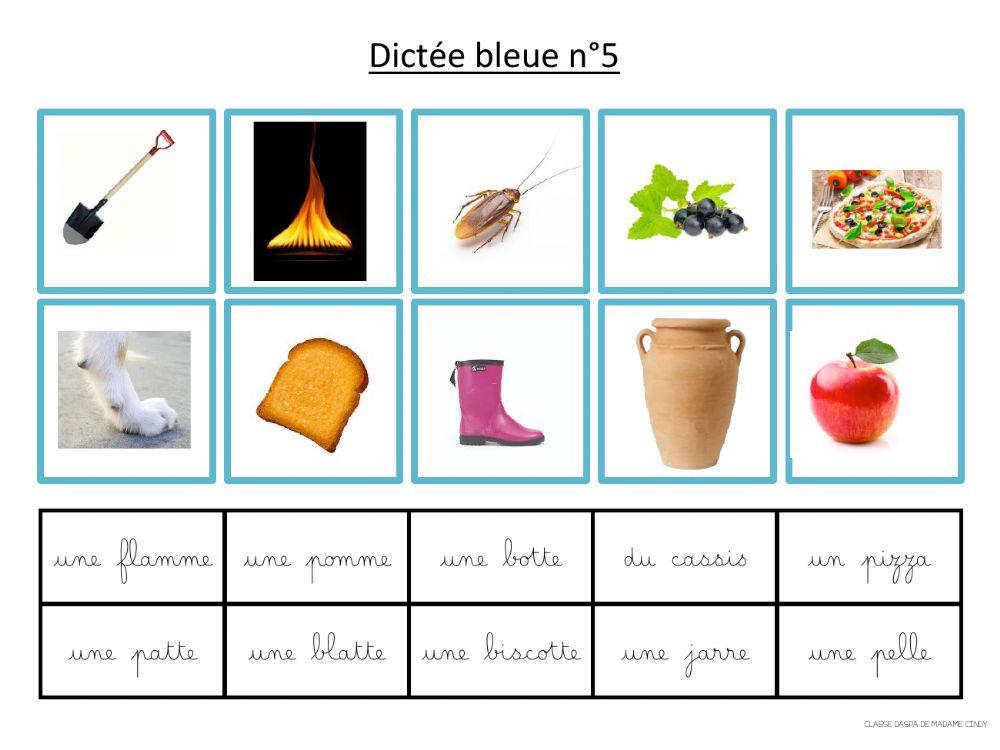 Dictée bleue 5