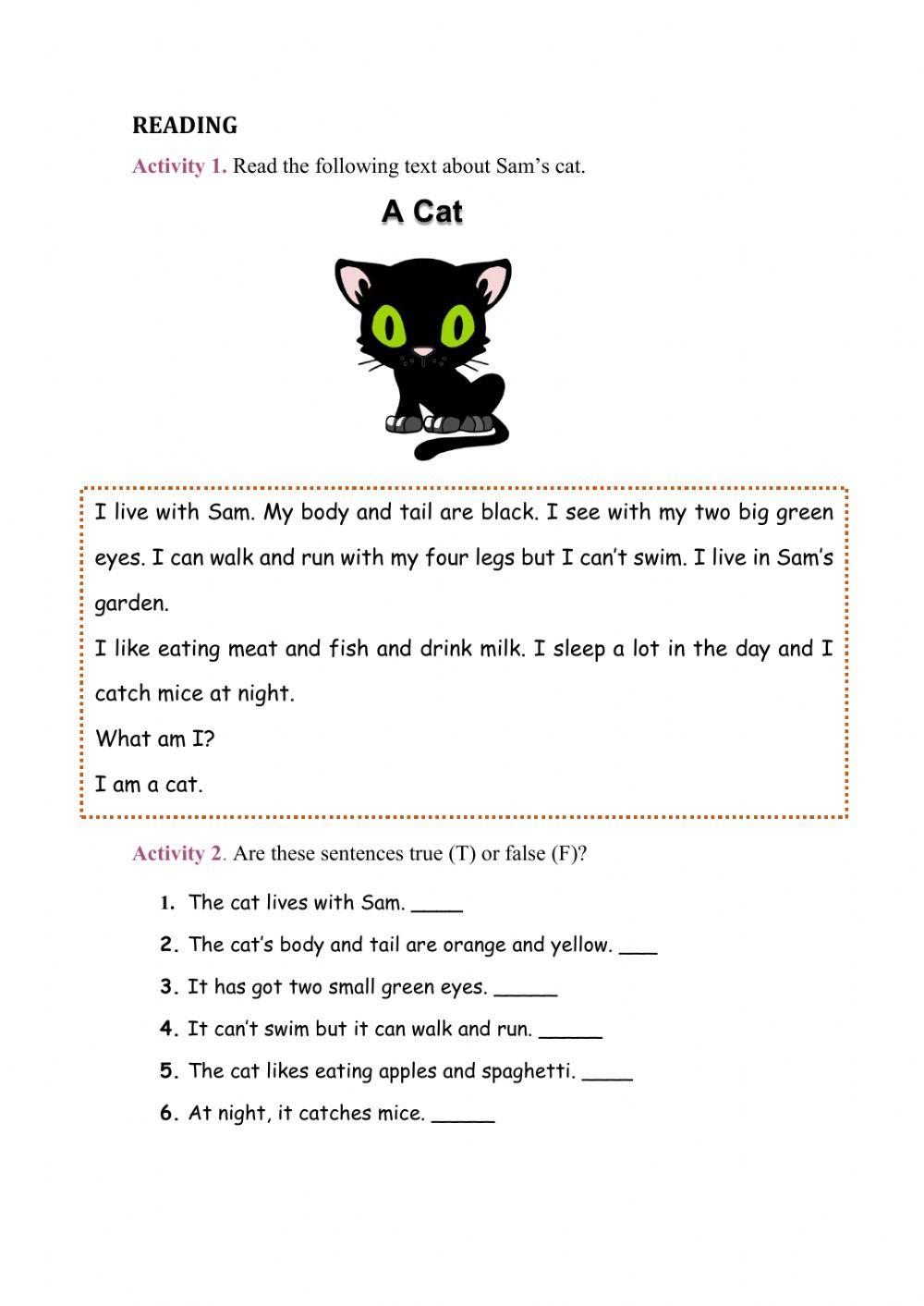 Reading Comprehension