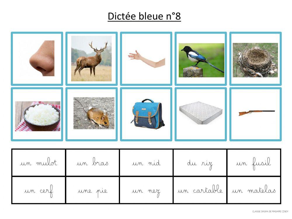 Dictée bleue 8