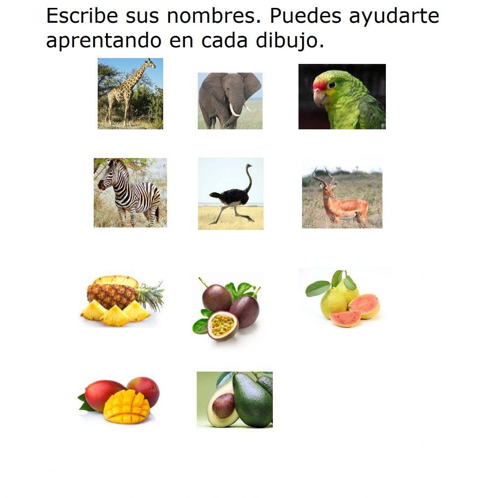 Escritura de palabras