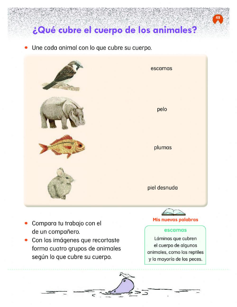 ¿Qué cubre el cuerpo de los animales?