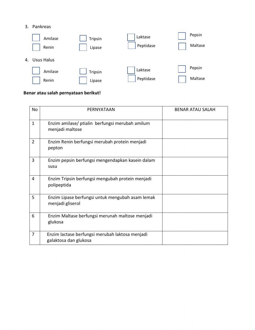 Sistem pencernaan manusia