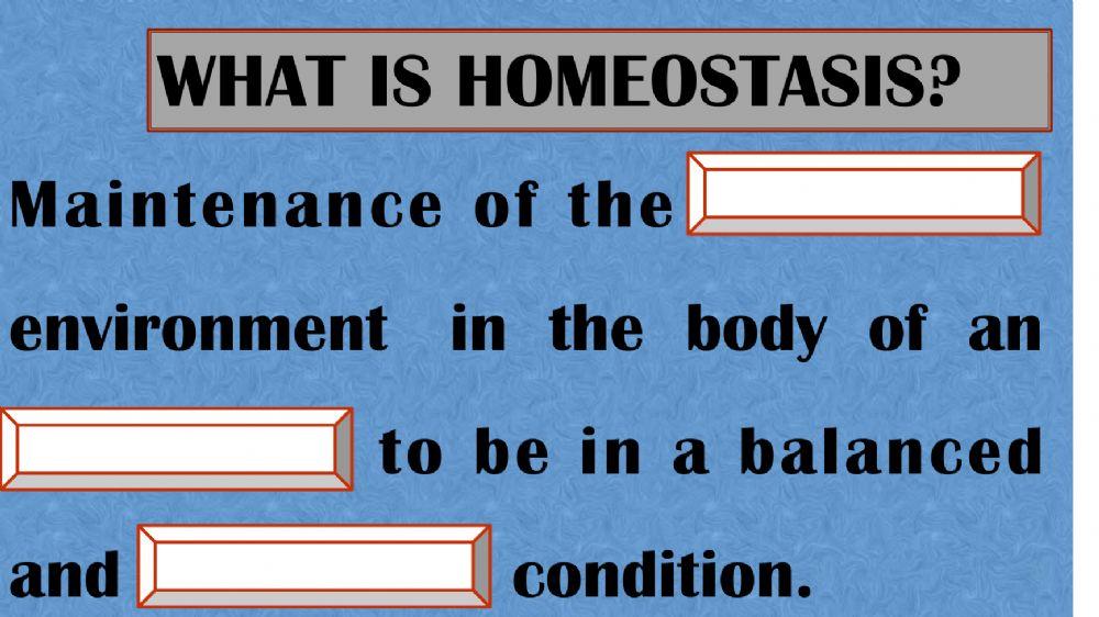 Homeostasis Chapter 3