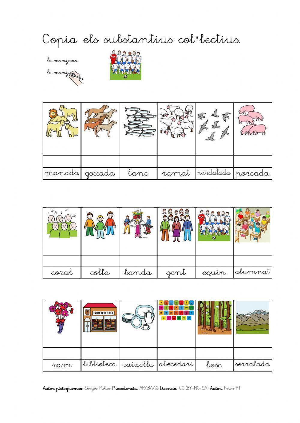 Copiar substantius individuals i col·lectius.