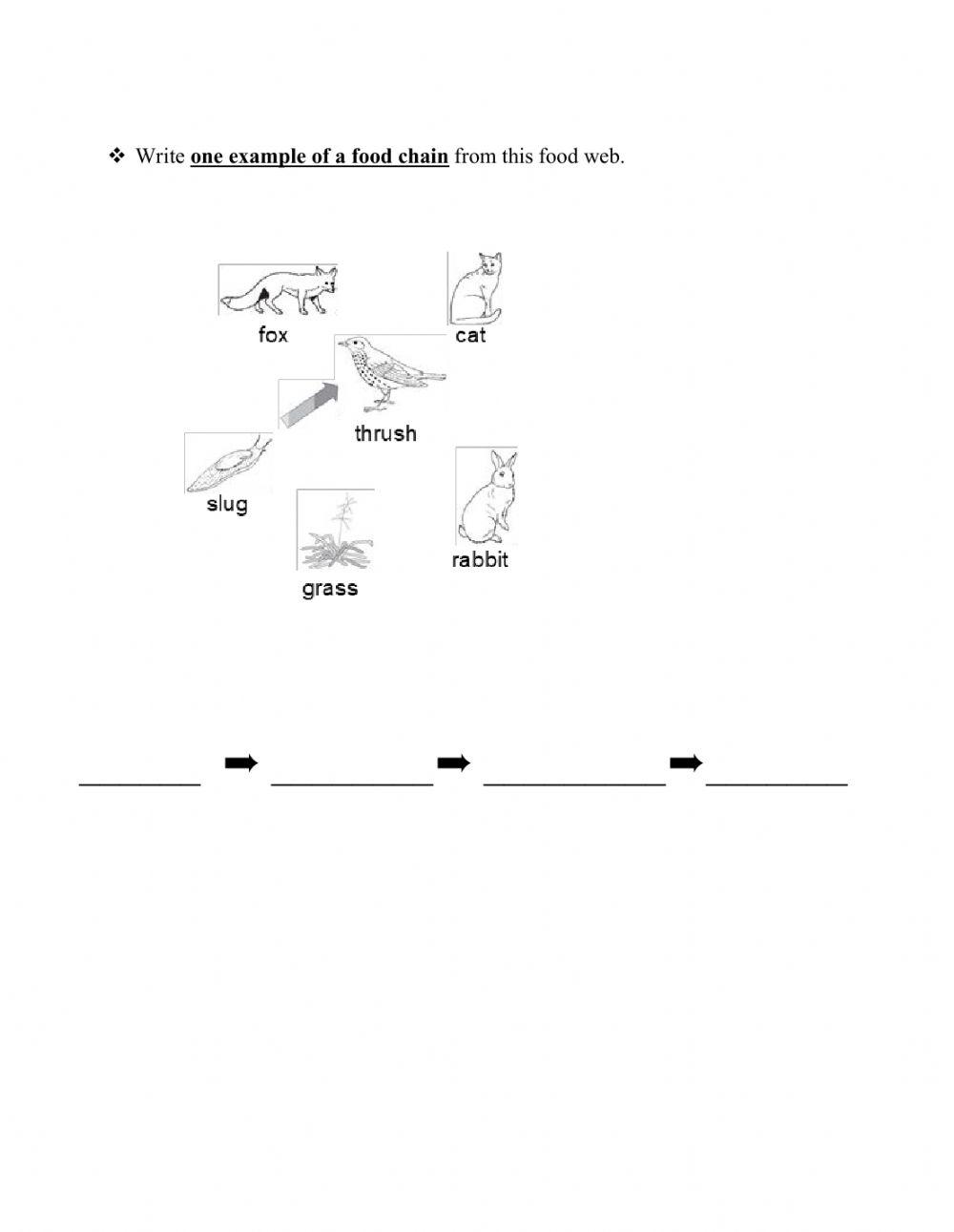 LiveWorksheets Biology Diagrams