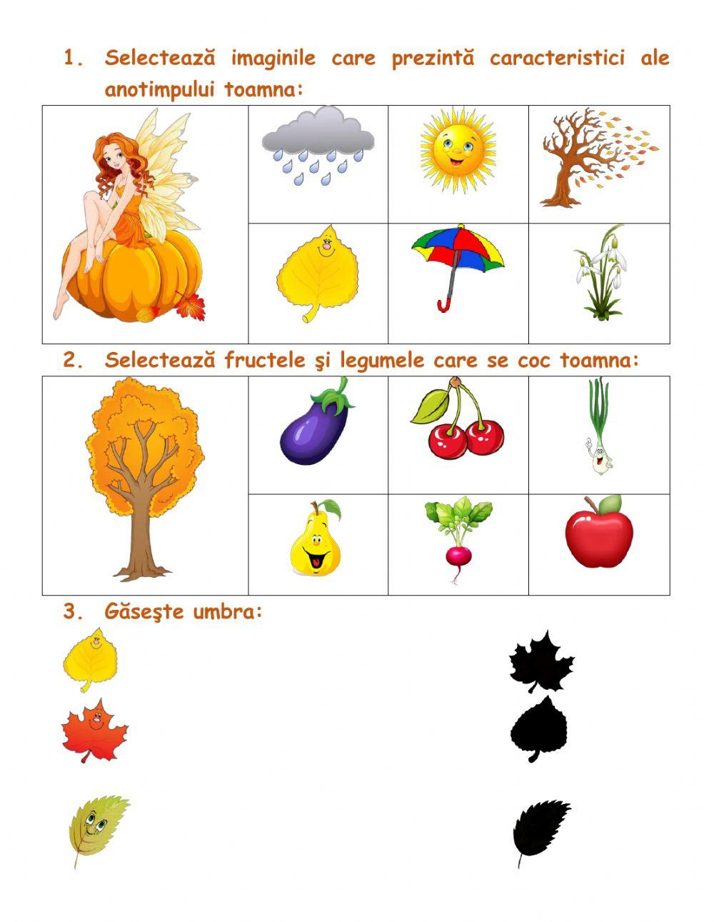 Fisa caracteristici de toamna