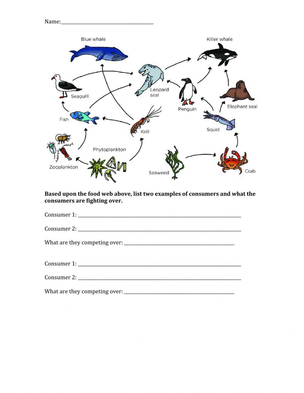 Food Web Competition Web