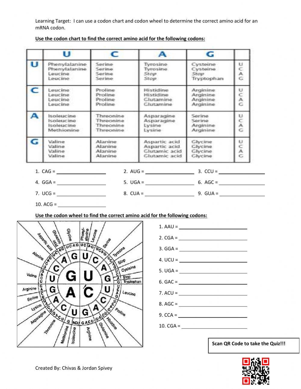 Codon Chart Worksheet at Margaret Valez blog