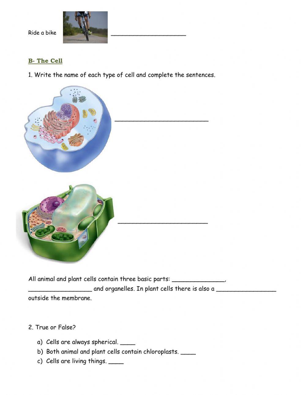 General learning test