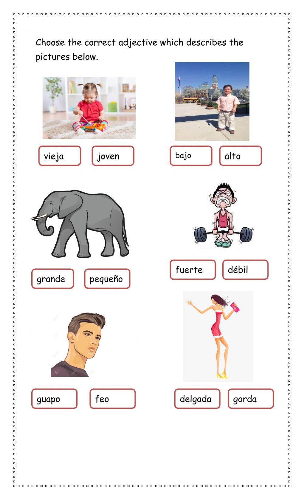 Spanish adjectives
