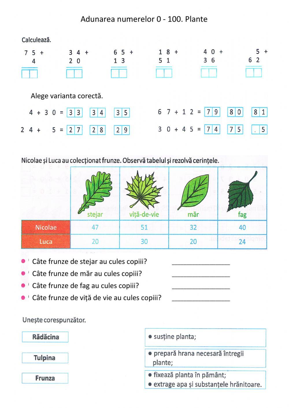 Recapitulare adunări 100