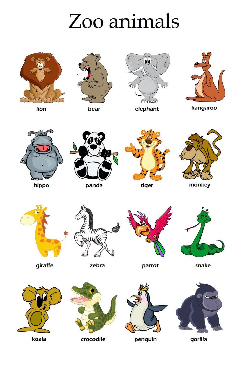 Zoo animals Zoo animals