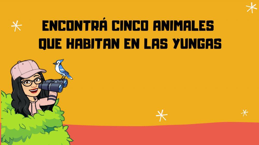La yunga, la tierra que nos une