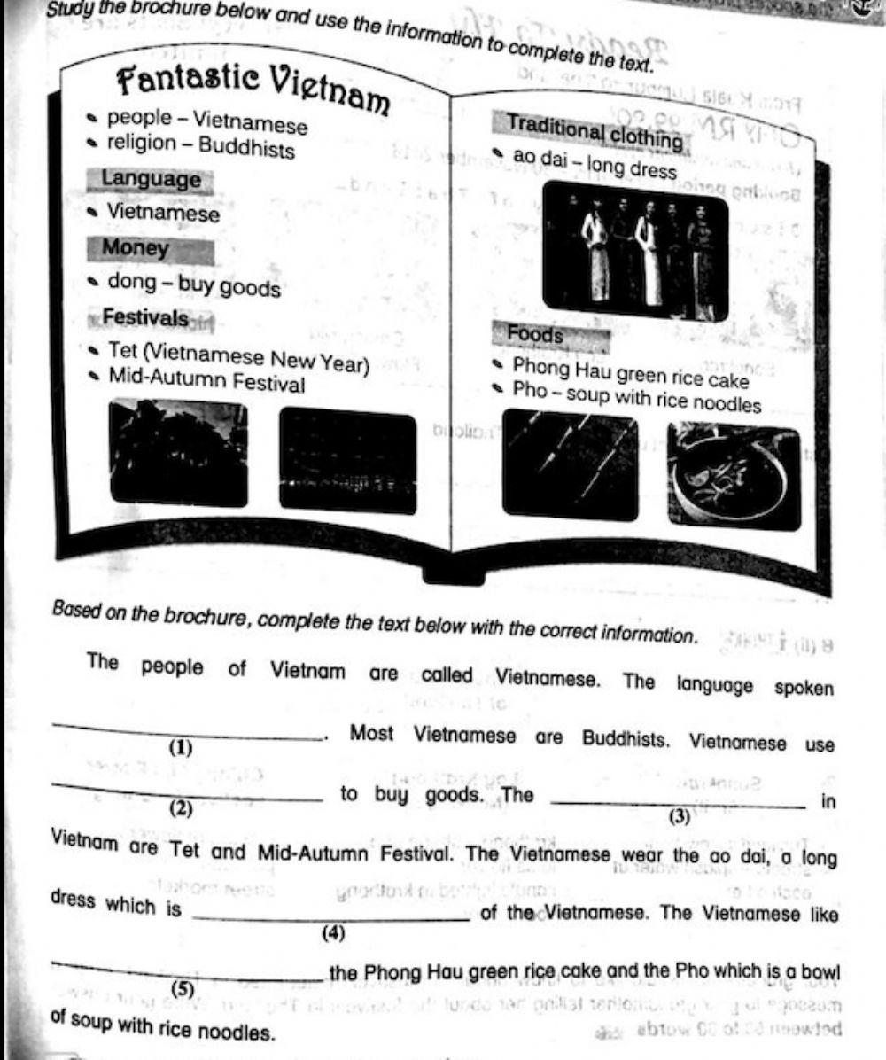 Transfer The Information Worksheet Live Worksheets Transfer The Information Worksheet Live Worksheets